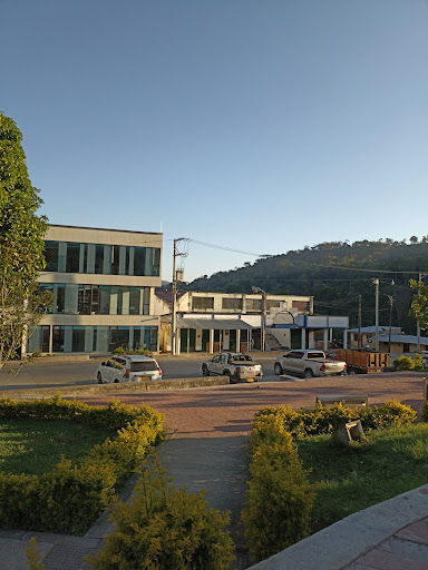 Alcaldia De Palestina