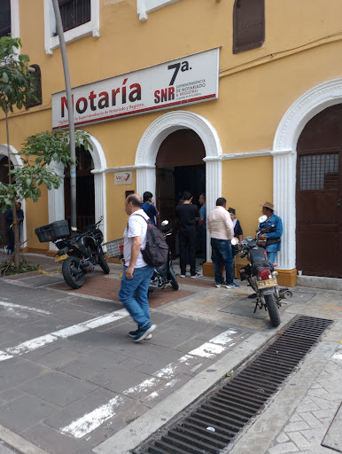 Notaria 7