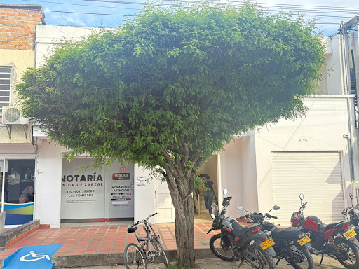 Notaria Única