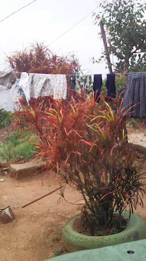 Notaria